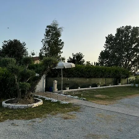 Forni *